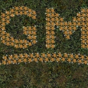avatar-35cd6e7e24ddf2f9d69c999f31cb497c.jpg